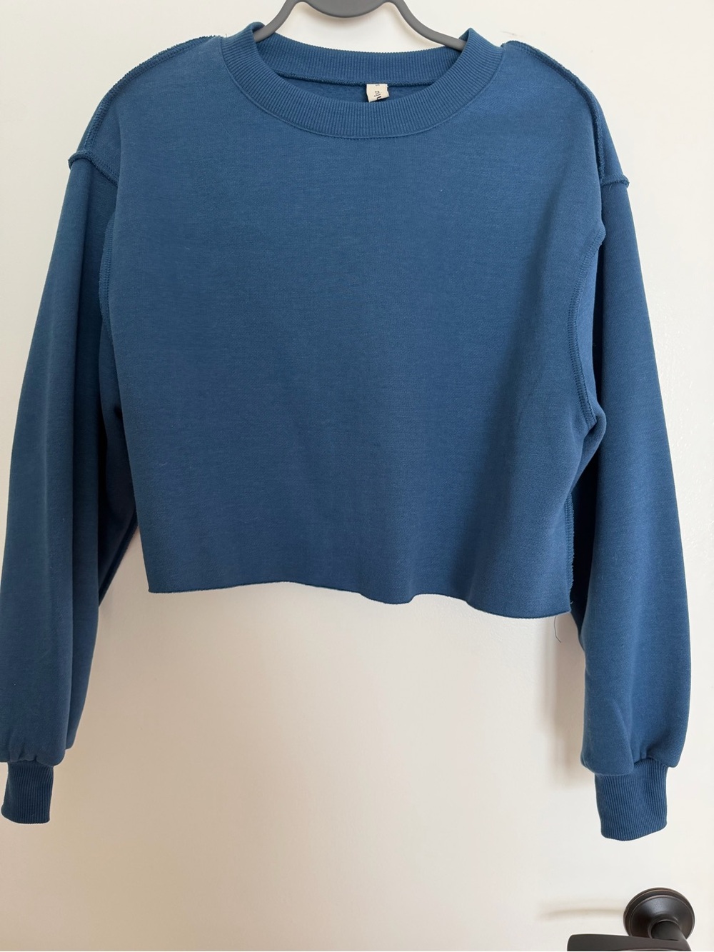 Cropped Crewneck Sweatshirt - Blue